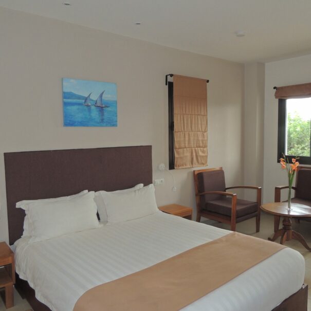 double-room-plumeria-hotel-antsirabe